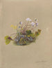 Album Aquarell von Deborah Griscom Passmore Pl07 - Deborah Griscom Passmore — Ansicht des Kunstwerks