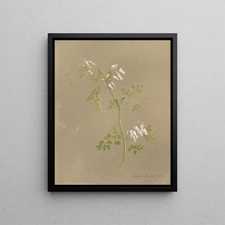 Deborah Griscom Passmore - Deborah Griscom Passmore watercolor album Pl08.webp