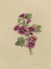 Album Aquarell von Deborah Griscom Passmore Pl16 - Deborah Griscom Passmore — Ansicht des Kunstwerks
