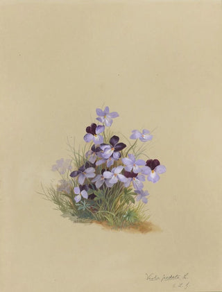 Deborah Griscom Passmore - Deborah Griscom Passmore watercolor album Pl18.webp