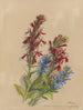 Album Aquarell von Deborah Griscom Passmore Pl45 - Deborah Griscom Passmore — Ansicht des Kunstwerks