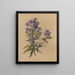 Album Aquarell von Deborah Griscom Passmore Pl49 - Deborah Griscom Passmore — gerahmtes Bild an der Wand