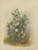 Album Aquarell von Deborah Griscom Passmore Pl53 - Deborah Griscom Passmore — Ansicht des Kunstwerks