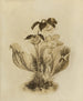 Album Aquarell von Deborah Griscom Passmore Pl61 - Deborah Griscom Passmore — Ansicht des Kunstwerks