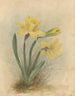 Album Aquarell von Deborah Griscom Passmore Pl64 - Deborah Griscom Passmore — Ansicht des Kunstwerks