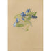 Album d'aquarelles de Deborah Griscom Passmore Pl69 - Deborah Griscom Passmore — Ansicht des Kunstwerks