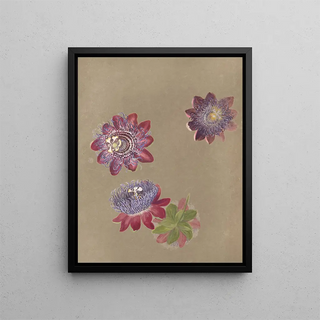 Deborah Griscom Passmore - Deborah Griscom Passmore watercolor album Pl74.webp