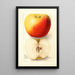 Reproduktion des Gemäldes Malus domestica Banana - Deborah Griscom Passmore