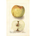 Reproduktion des Gemäldes Malus domestica Sklanka Bogdanoff - Deborah Griscom Passmore