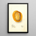 Reproduktion des Gemäldes Mangifera indica Raja Purra - Deborah Griscom Passmore