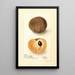 Manilkara zapota No - Deborah Griscom Passmore — gerahmtes Bild an der Wand