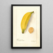 Reproduktion des Gemäldes Musa Platano Morado - Deborah Griscom Passmore
