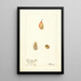 Nyssa ogeche - Deborah Griscom Passmore — gerahmtes Bild an der Wand