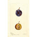 Reproduktion des Gemäldes Prunus domestica White Queen - Deborah Griscom Passmore