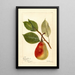 Reproduktion des Gemäldes Pyrus communis Schönheit des Sommers - Deborah Griscom Passmore