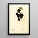 Rubus Lawton - Deborah Griscom Passmore — gerahmtes Bild an der Wand