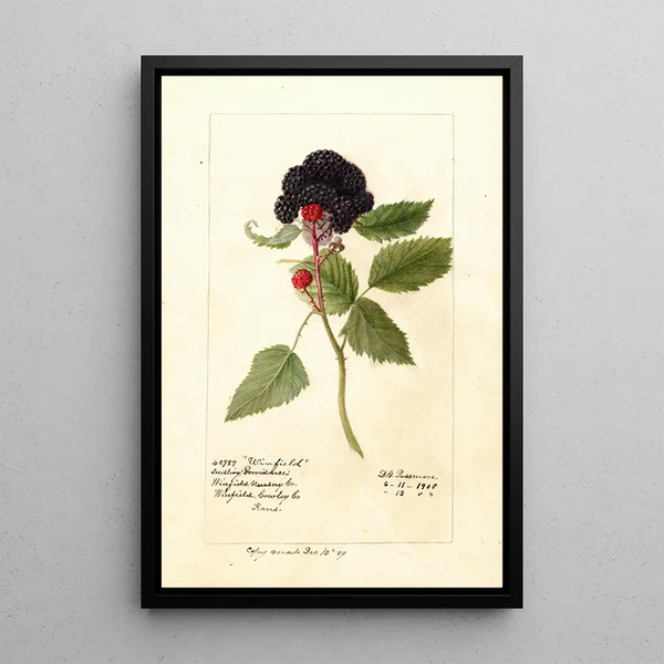 Reproduktion des Gemäldes Rubus Winfield - Deborah Griscom Passmore