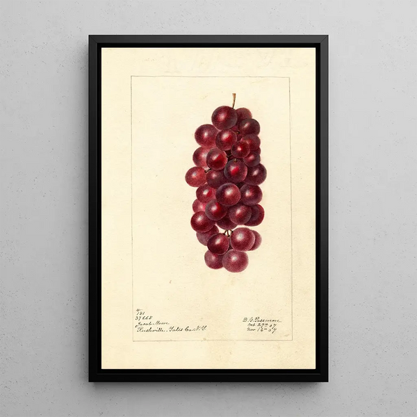 Reproduktion des Gemäldes Vitis Jacob Moore - Deborah Griscom Passmore