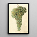 Vitis Malaga - Deborah Griscom Passmore — gerahmtes Bild an der Wand