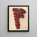 Vitis Sultanina Rosea - Deborah Griscom Passmore — gerahmtes Bild an der Wand