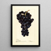 Reproduktion des Gemäldes Vitis Superbe - Deborah Griscom Passmore