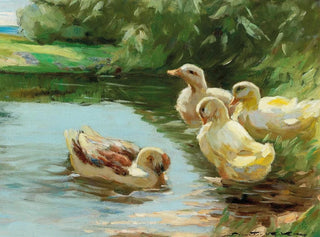 Enten im Wasser - Demeter Koko — Ansicht des Kunstwerks