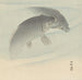 Zwei Karpfen - Ohara Koson — Ansicht des Kunstwerks