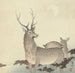 Zwei Hirsche - Ohara Koson — Ansicht des Kunstwerks