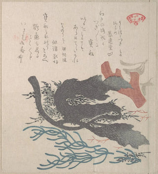 Diverses algues - Kubo Shunman