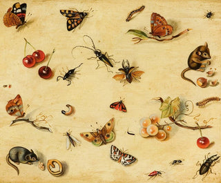 Flore und Fauna - Holländische Schule — Ansicht des Kunstwerks