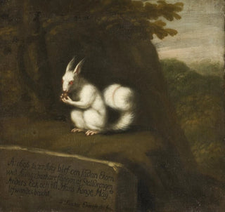 Écureuil blanc dans un paysage - David Klcker Ehrenstrahl