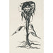 Reproduktion des Gemäldes Vignette Amaryllis - Edvard Munch