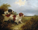 Zwei Terrier - Edward Armfield — Ansicht des Kunstwerks