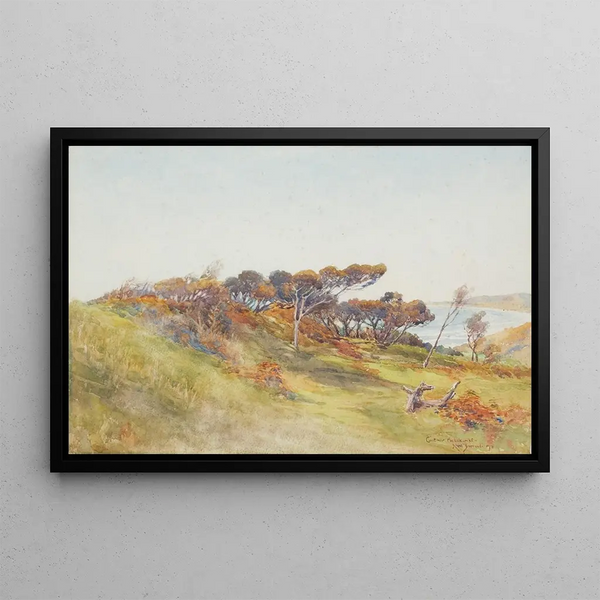 Edward Barraud - Coast near Paekakariki.webp