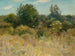 Unser hinterer Garten, als ich jung war - Edward Emerson Simmons — Ansicht des Kunstwerks