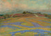 Frühlingsfelder in Grand Prairie - Edward G. Eisenlohr — Ansicht des Kunstwerks