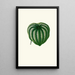 Peperomia Argyrea - Edward Joseph Lowe — gerahmtes Bild an der Wand