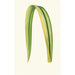 Reproduktion des Gemäldes Phormium Tenax - Edward Joseph Lowe