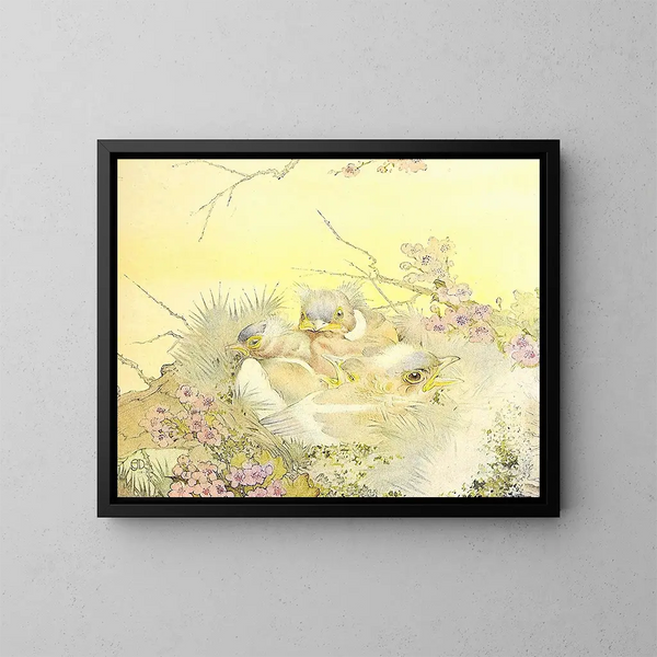 Der Zaunkönig - Edward Julius Detmold — gerahmtes Bild an der Wand