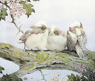 Die Langschwanz-Meise - Edward Julius Detmold — Ansicht des Kunstwerks