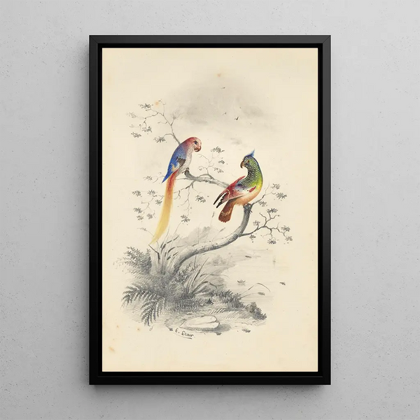 Reproduktion des Gemäldes Eine Paar Papageien - Edward Lear