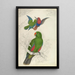 Reproduktion des Gemäldes Eclectus Roratus Polychloros - Edward Lear