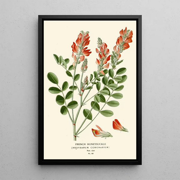Reproduktion des Gemäldes Sainfoin - Edward Step