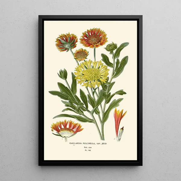 Reproduktion des Gemäldes Gaillarde elegante - Edward Step