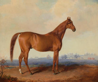 Amerikanische Sonnenfinsternis in einer Landschaft - Edward Troye — Ansicht des Kunstwerks