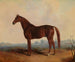 Henri in einer Landschaft - Edward Troye — Ansicht des Kunstwerks