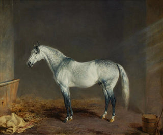 Ein graues Rennpferd in einer Stallung - Edward Troye — Ansicht des Kunstwerks