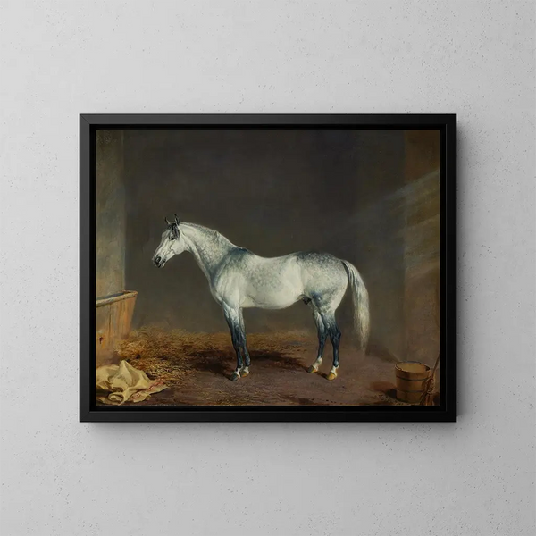 Ein graues Rennpferd in einer Stallung - Edward Troye — gerahmtes Bild an der Wand