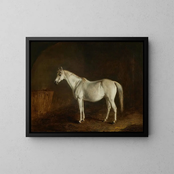 Bobine mit grauem Rennpferd - Edward Troye — gerahmtes Bild an der Wand