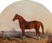 Kriegstanz in einer Landschaft - Edward Troye — Ansicht des Kunstwerks
